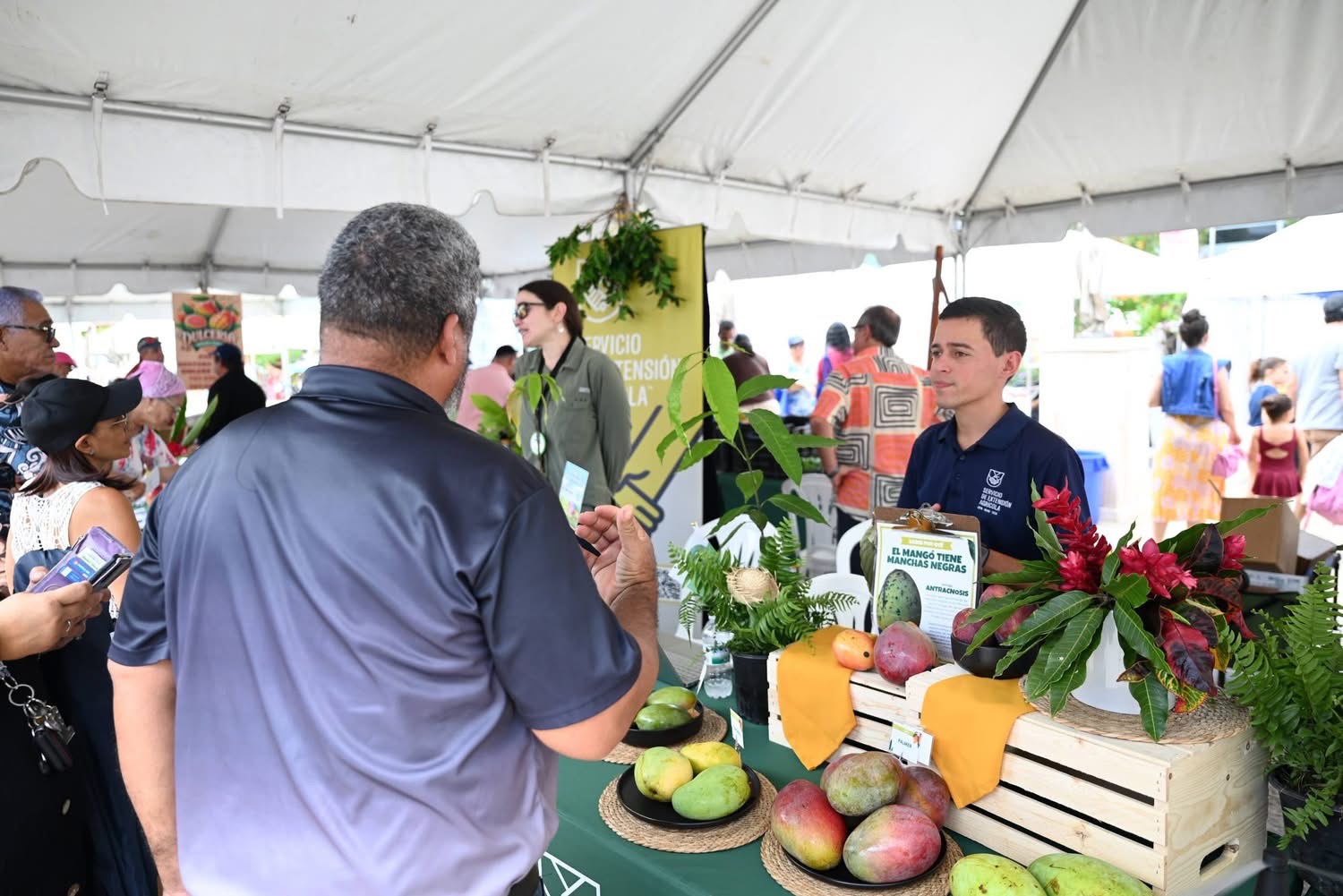 Servicio de Extensión Agrícola UPR-RUM en el Festival del Mango 2026