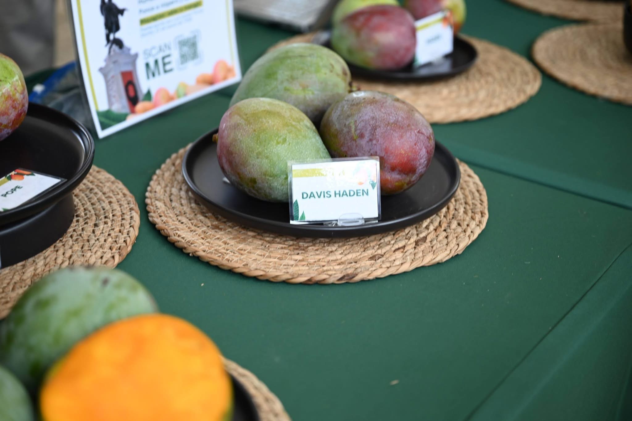 Variedad Davis Haden en exhibición del Servicio de Extensión Agrícola