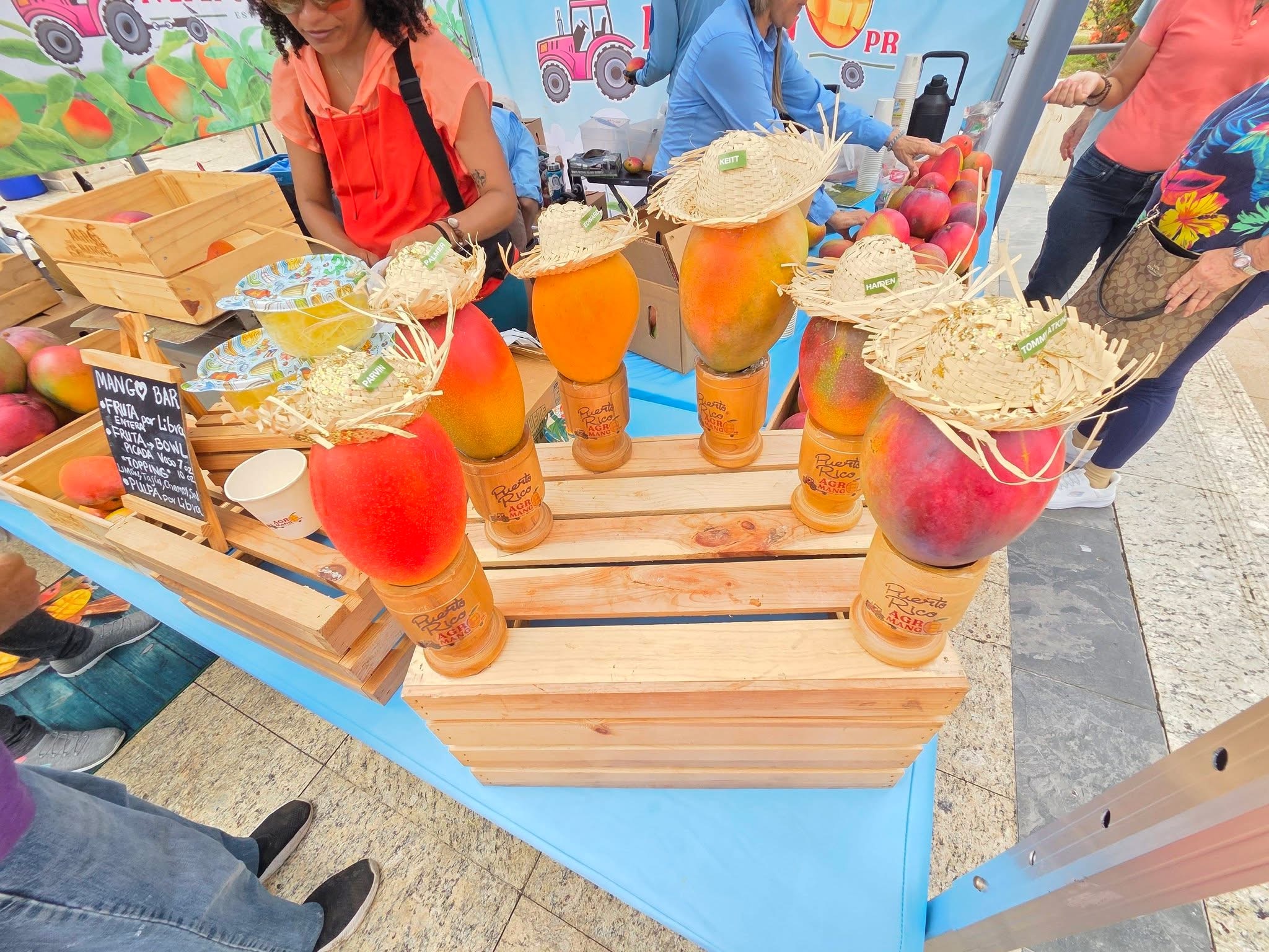 Mango Bar — variedades de mango en el Festival del Mango 2026