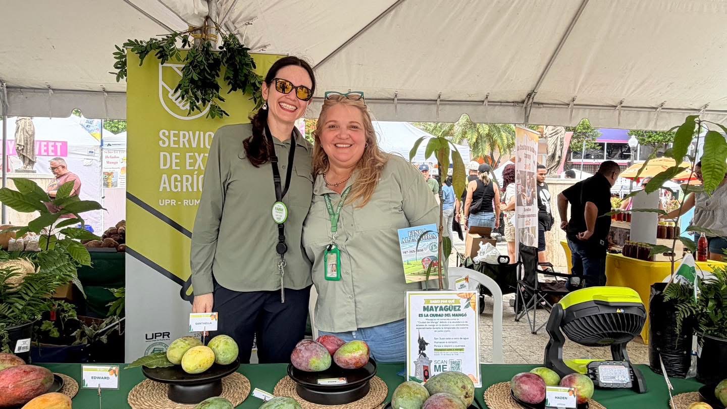 Servicio de Extensión Agrícola UPR-RUM — equipo en el Festival del Mango 2026
