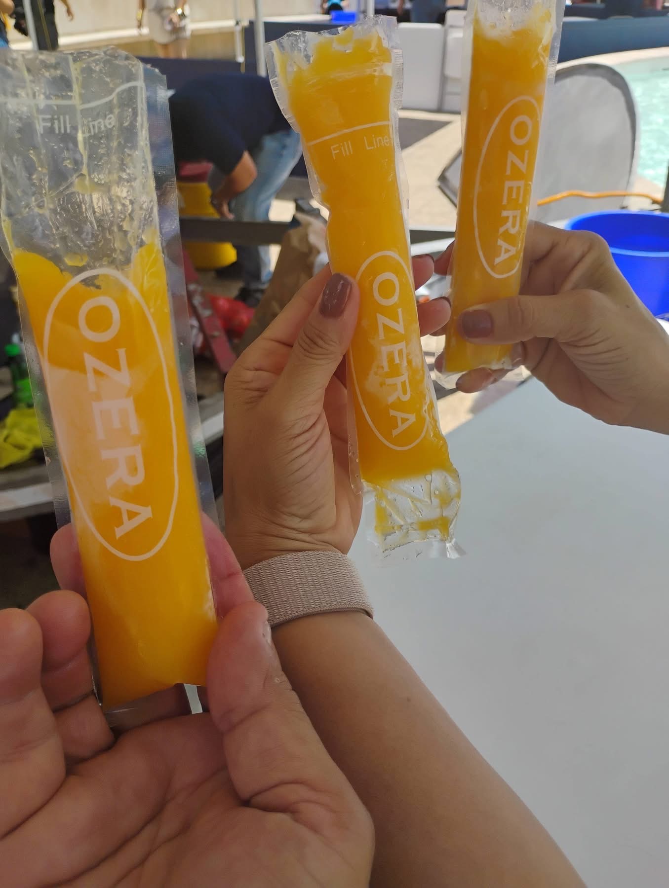 Paletas de mango Ozera — gastronomía tropical en el Festival del Mango 2026